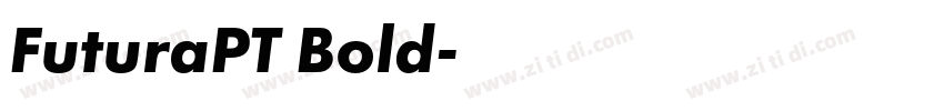FuturaPT Bold字体转换